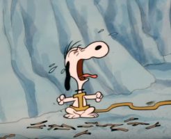 うわああーん！