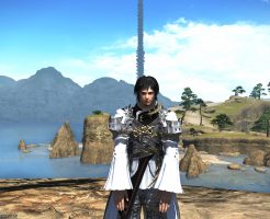 お久し振りです