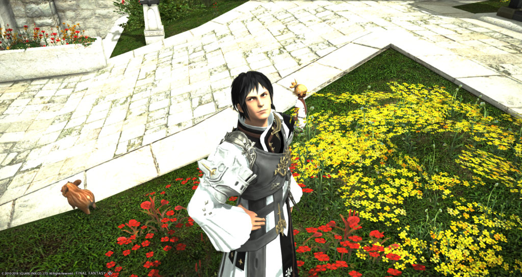 IN時間短いけど、生きています